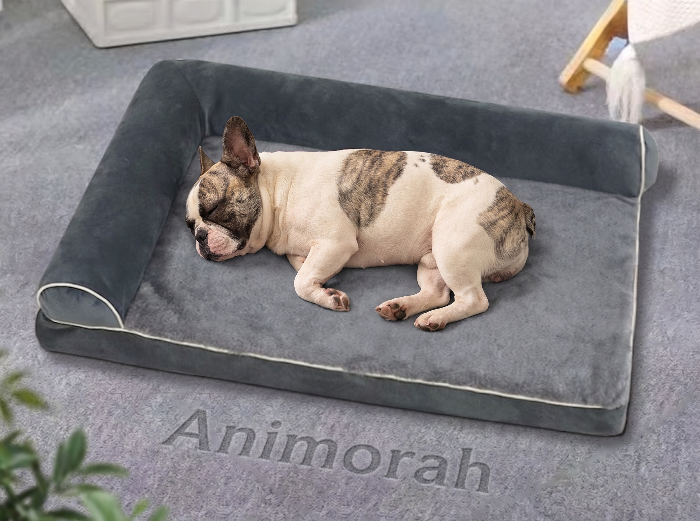Lit pour chien – Confort Toutes Saisons | Animorah