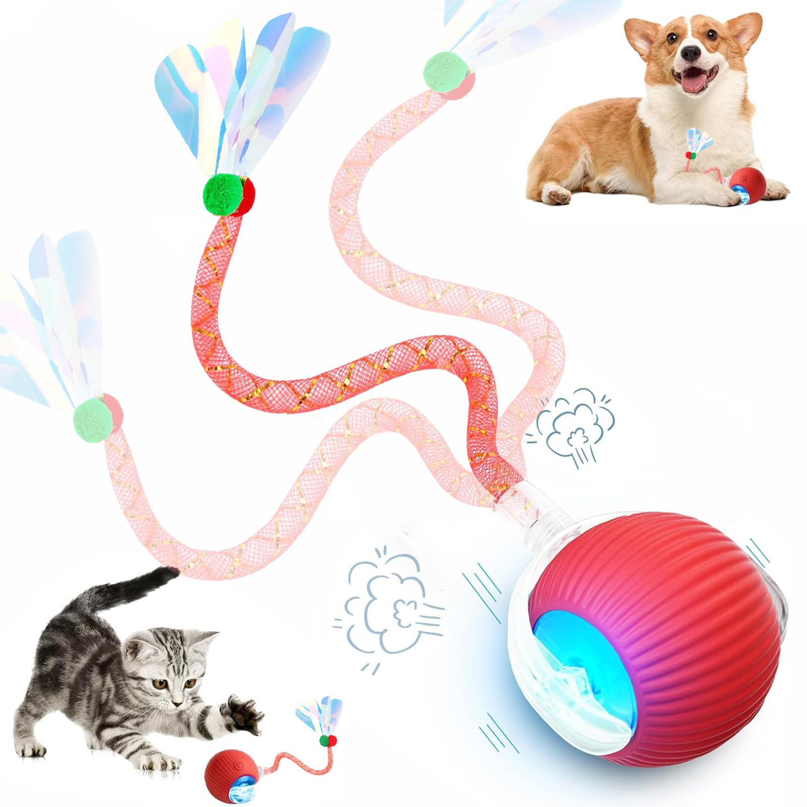 Jouets interactifs pour chat | Animorah