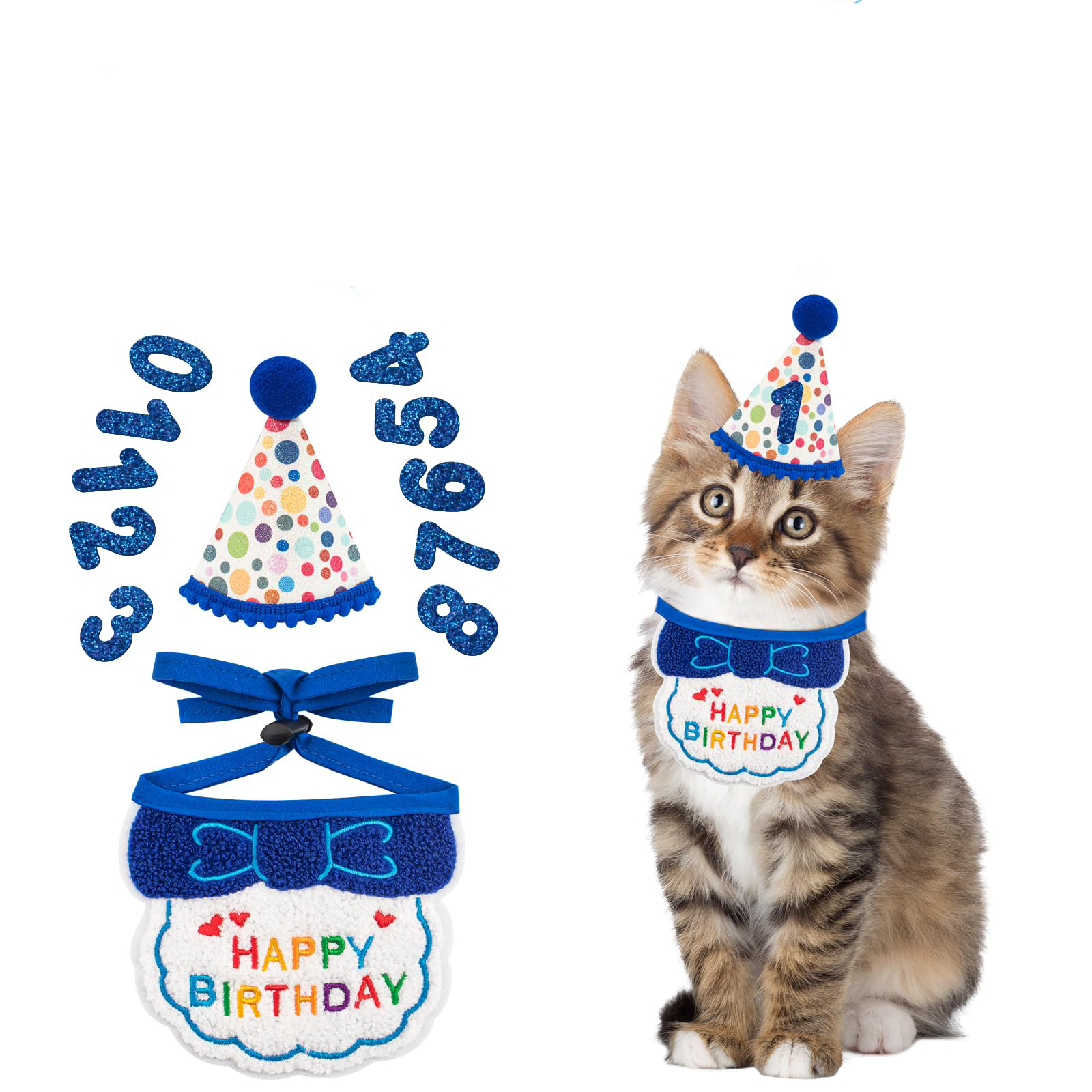 Fournitures de fête d'anniversaire pour chat | Animorah