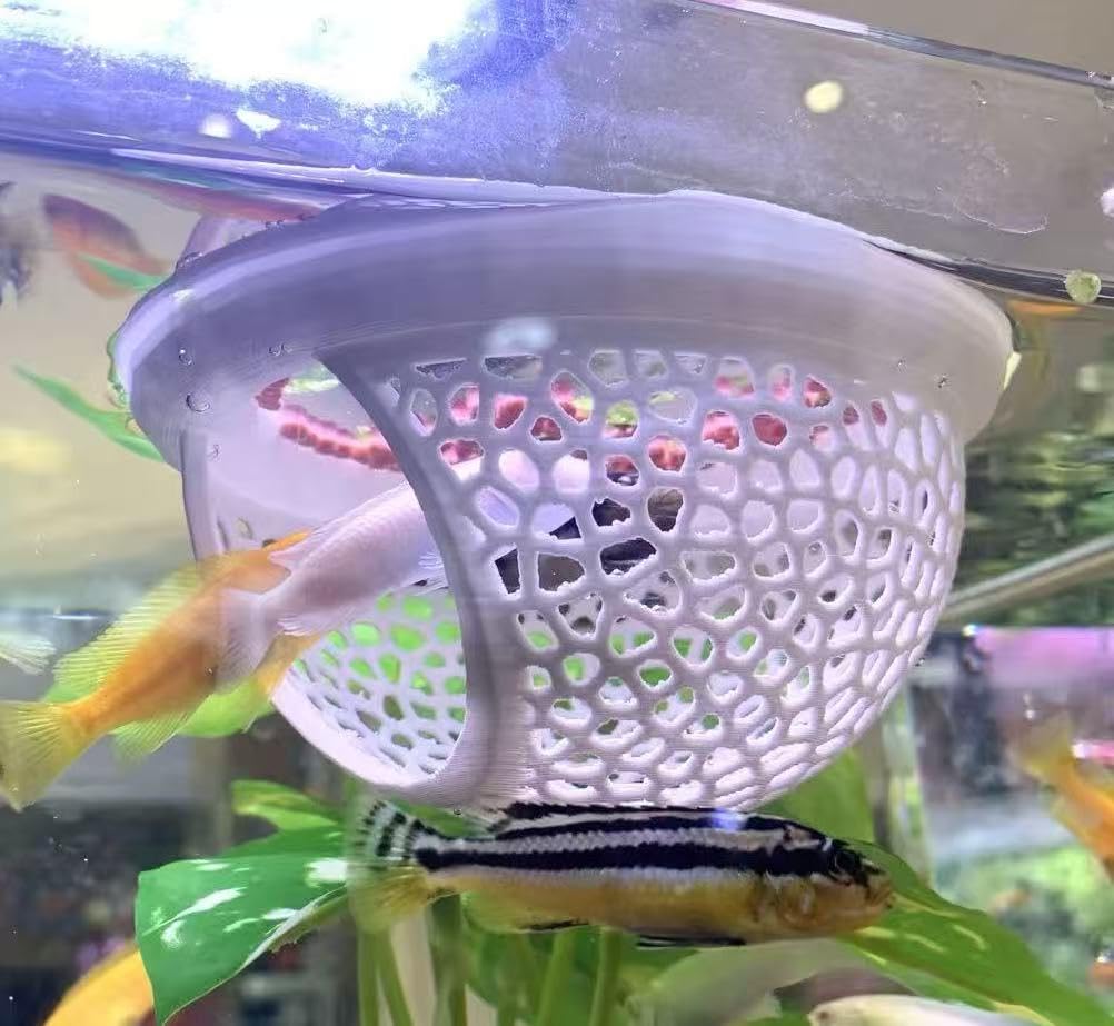 Lot de 2 hamacs flottants blancs pour poissons | Animorah