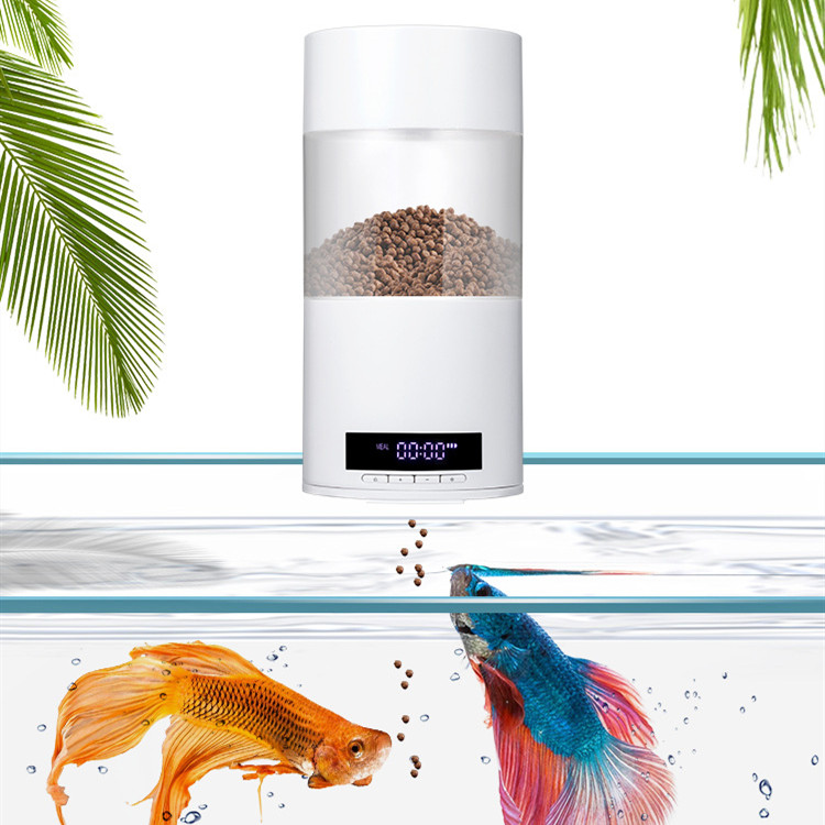 Mangeoire automatique pour poissons d'aquarium | Animorah