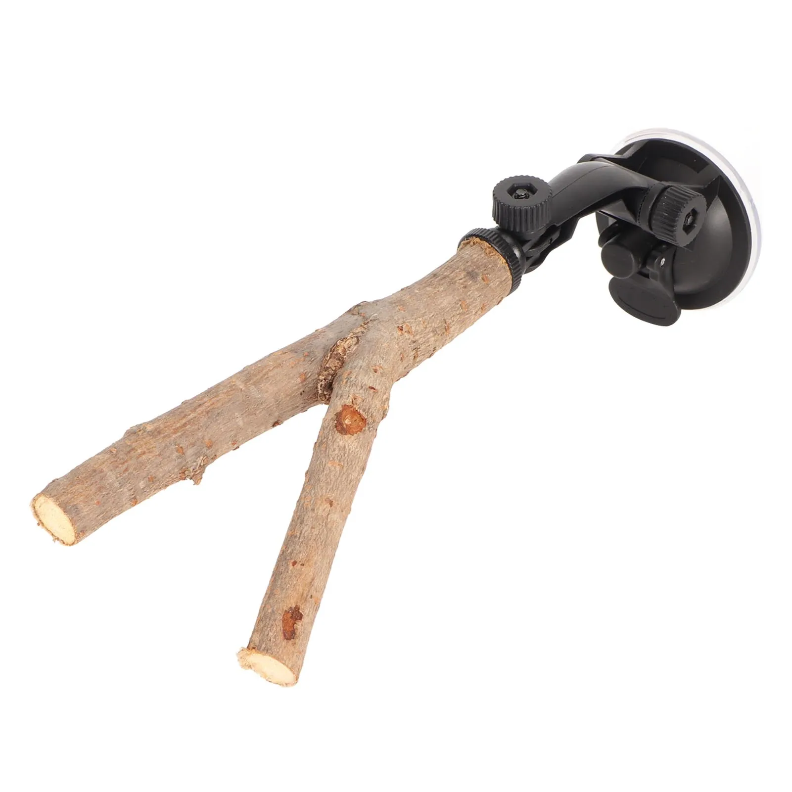 Support de perchoir pour branches d'oiseaux | Animorah
