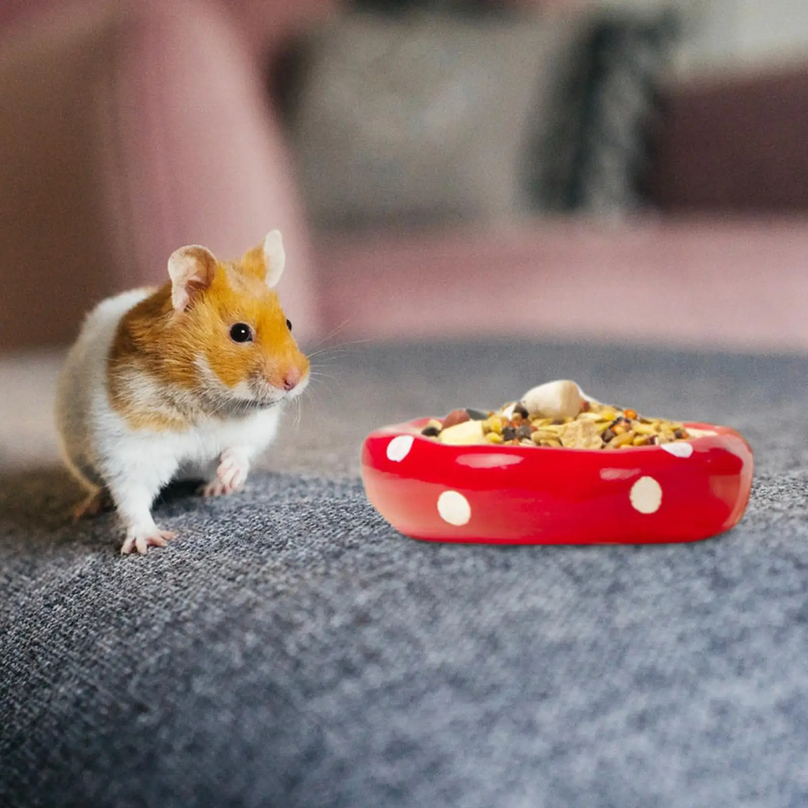 Maison de Hamster en céramique | Animorah