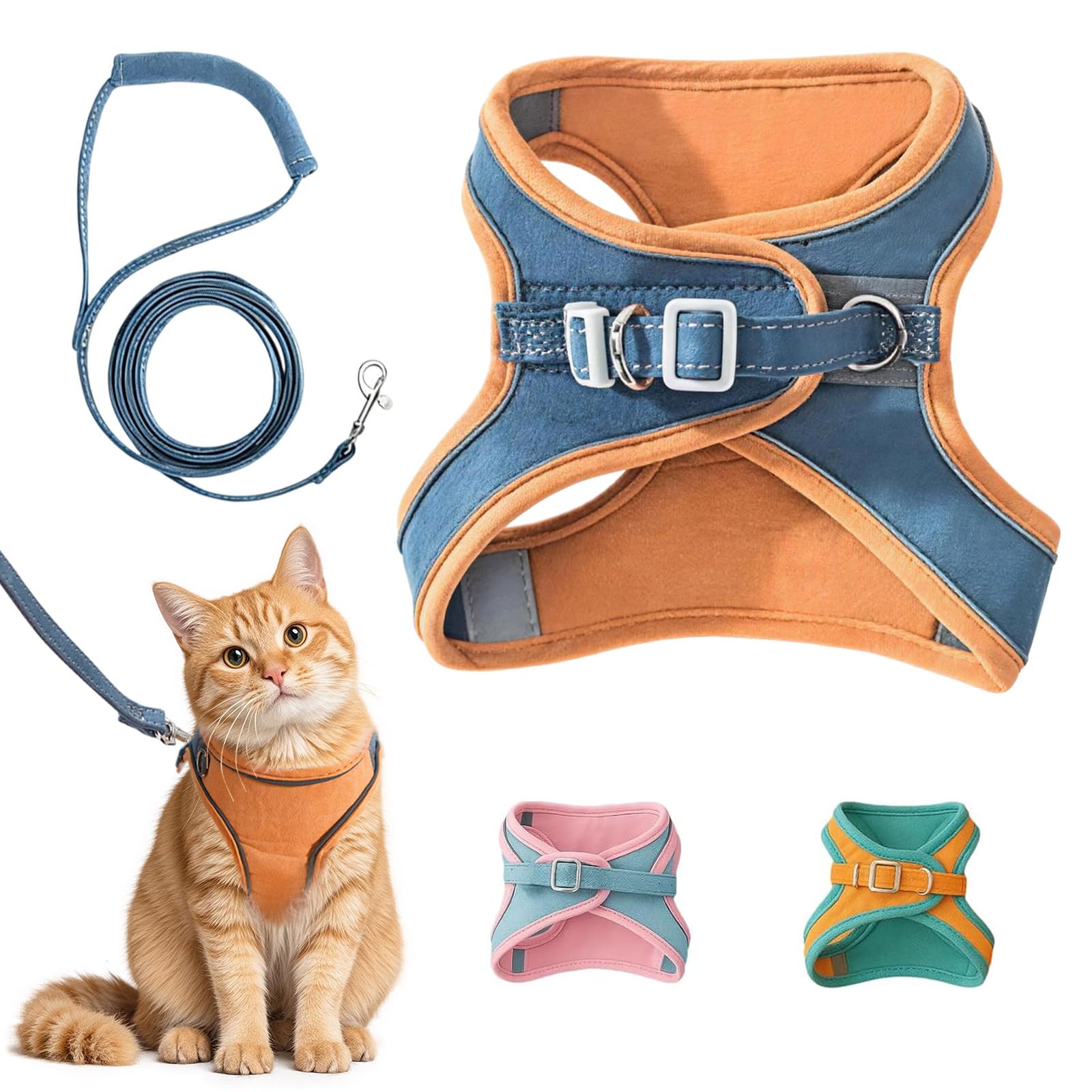 Harnais et laisse pour chat | Animorah