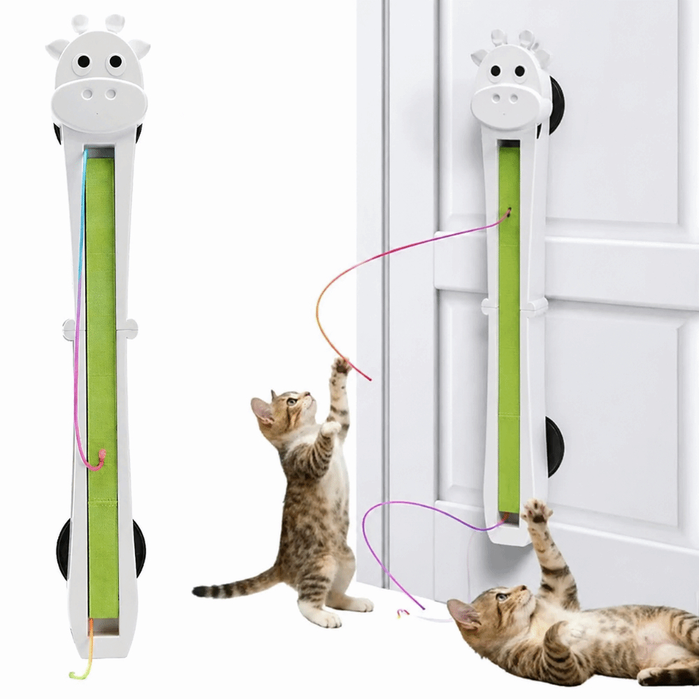 Jouets électroniques pour chats | Animorah