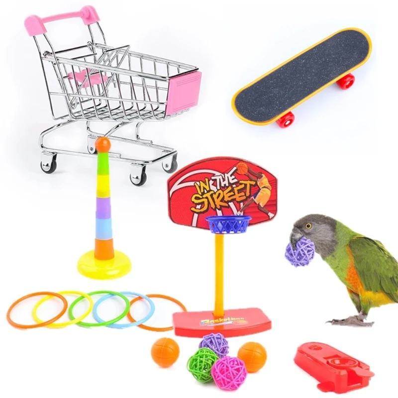 Ensemble de jouets pour oiseaux | Animorah
