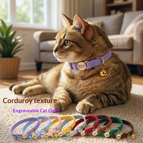 Collier pour chat | Animorah