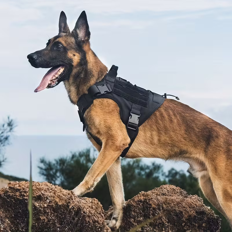Harnais portatif tactique pour chiens transfrontaliers | Animorah