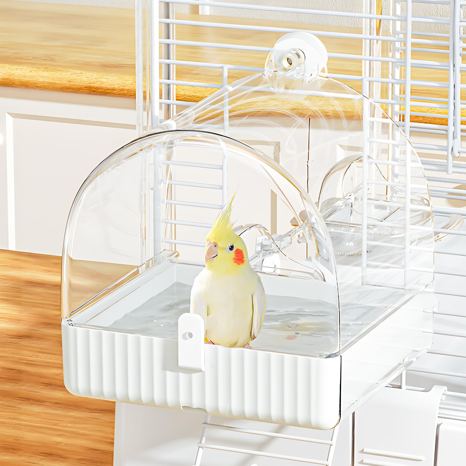 Bain d'oiseaux suspendu pour cage | Animorah