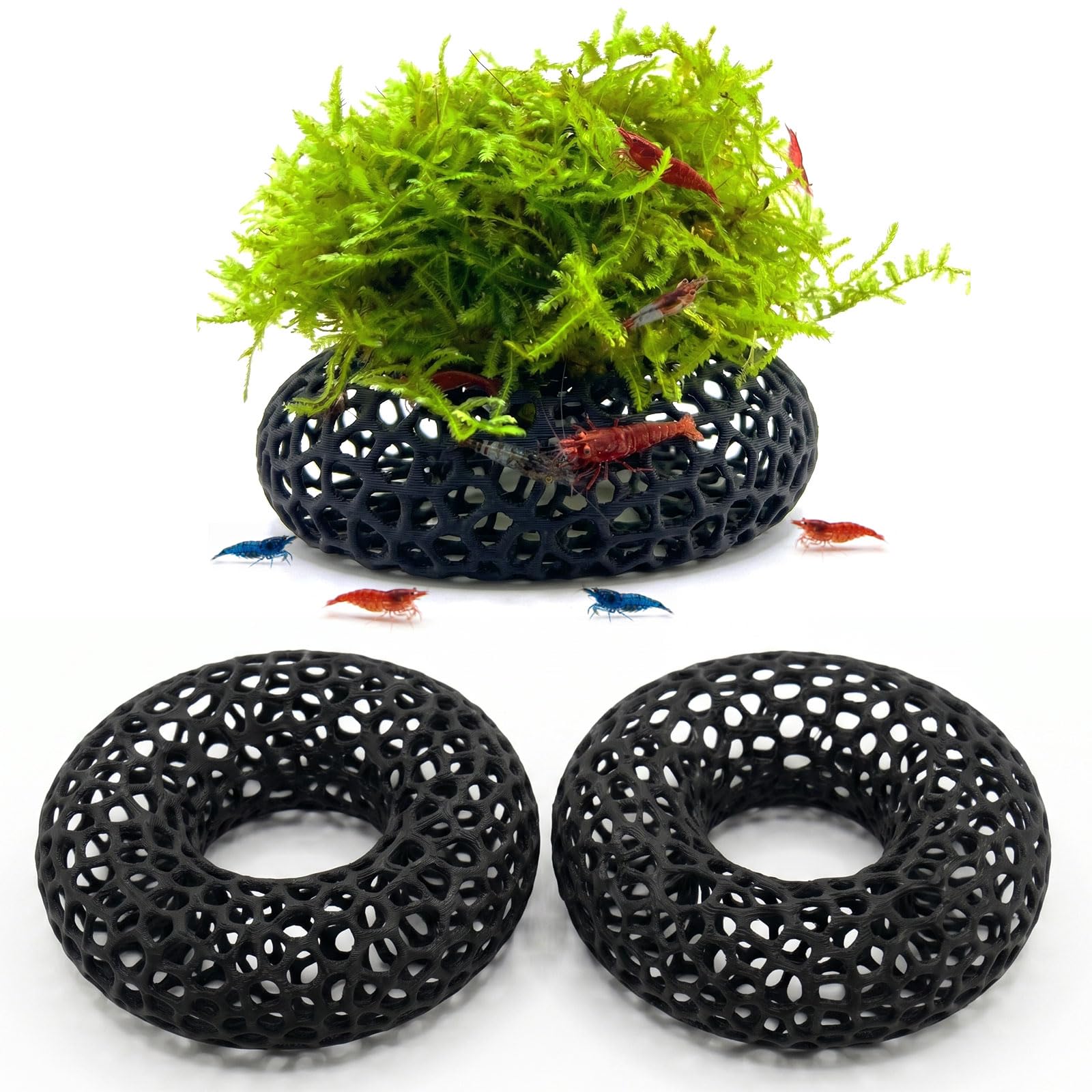 Grotte à crevettes pour mousse et plantes | Animorah