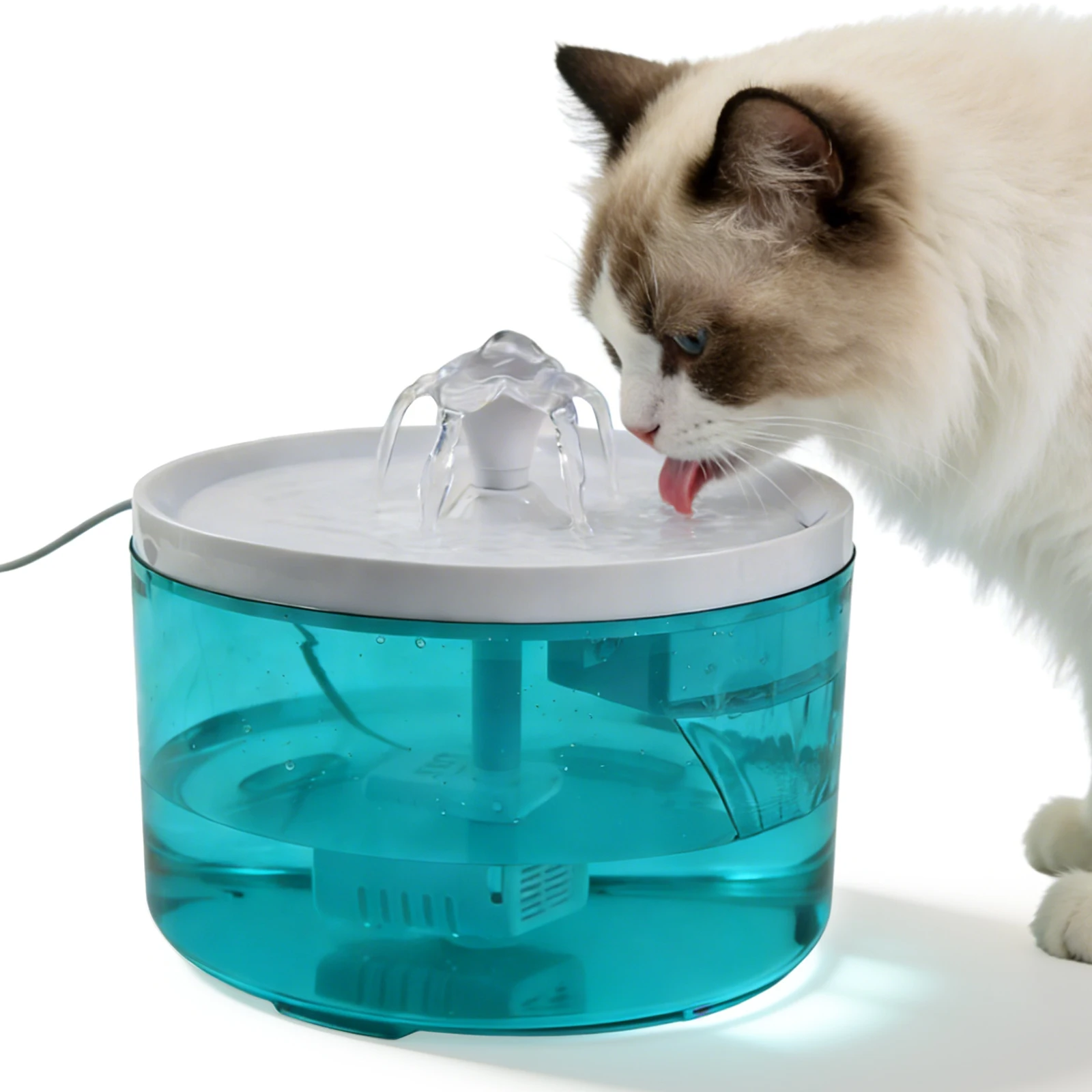La fontaine à eau pour chat est un nouveau type | Animorah