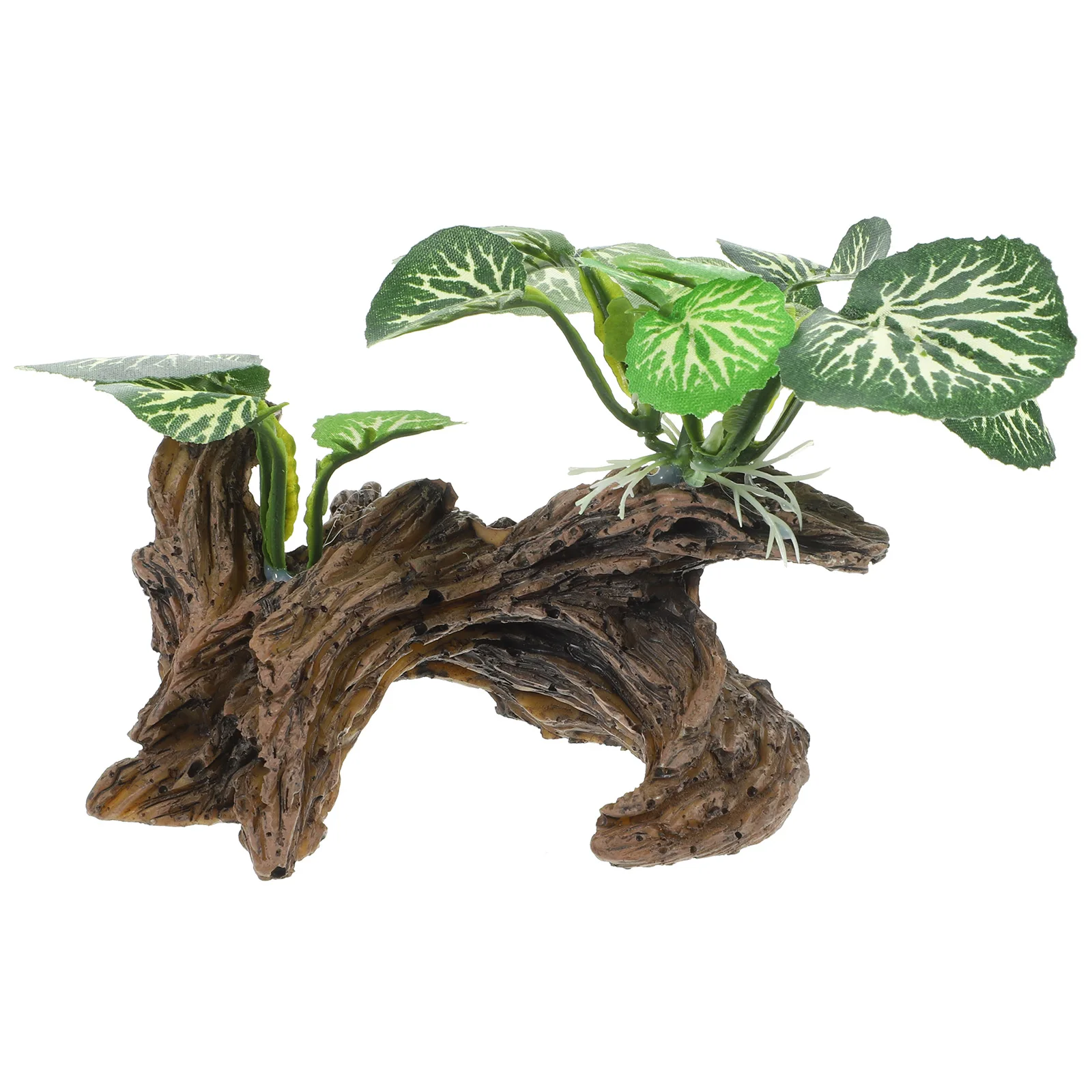 Plantes de Reptile réalistes | Animorah